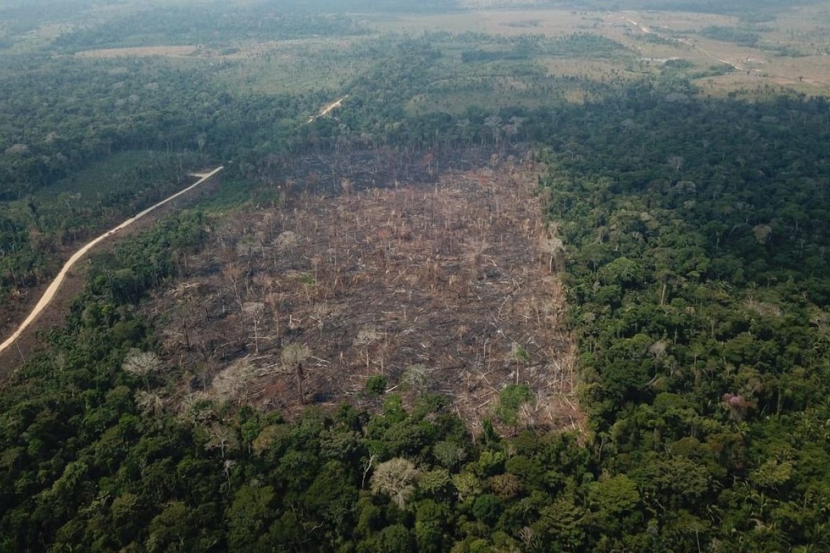[Desmatamento na Amazônia bate novo recorde em abril, aponta Inpe]