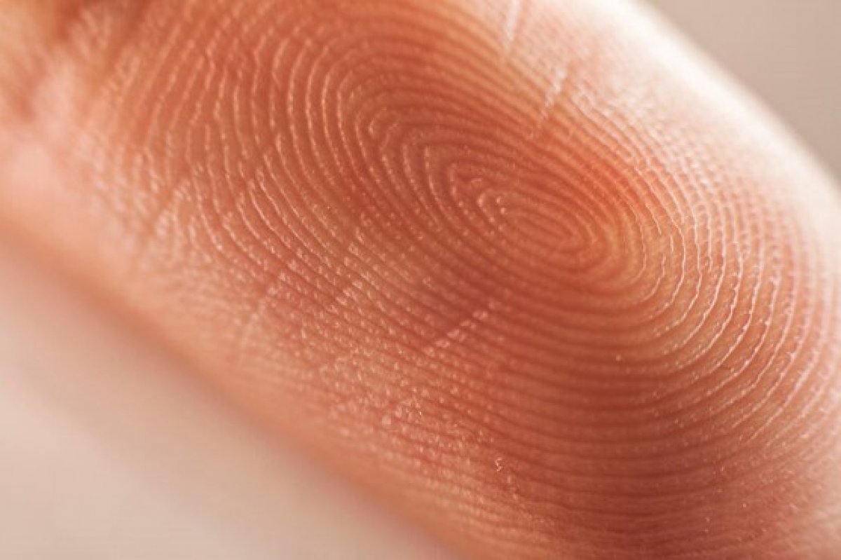 Apagamento das impressões digitais