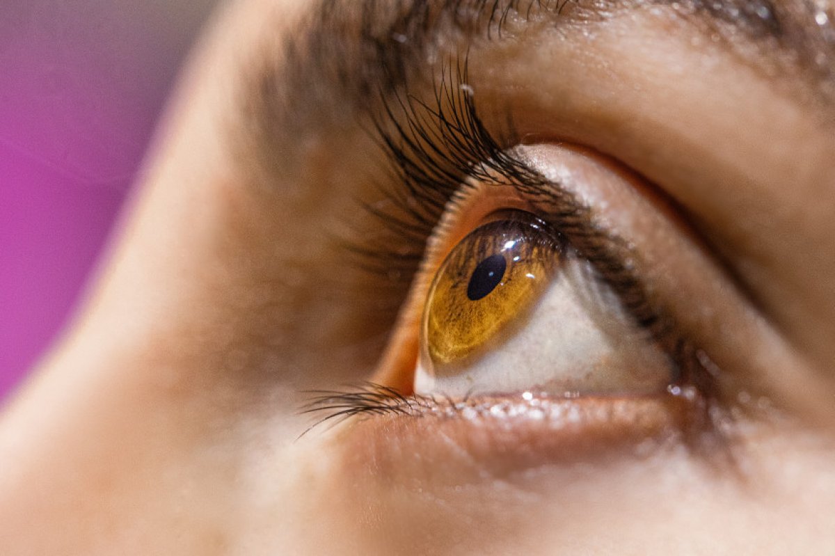 Saúde dos olhos: quase 35% dos brasileiros nunca foram ao oftalmologista! 