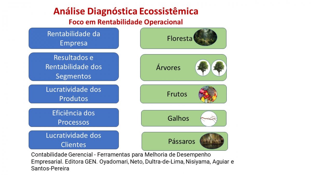 Como identificar oportunidades para melhoria da rentabilidade operacional Análise Diagnóstica Ecossistêmica 