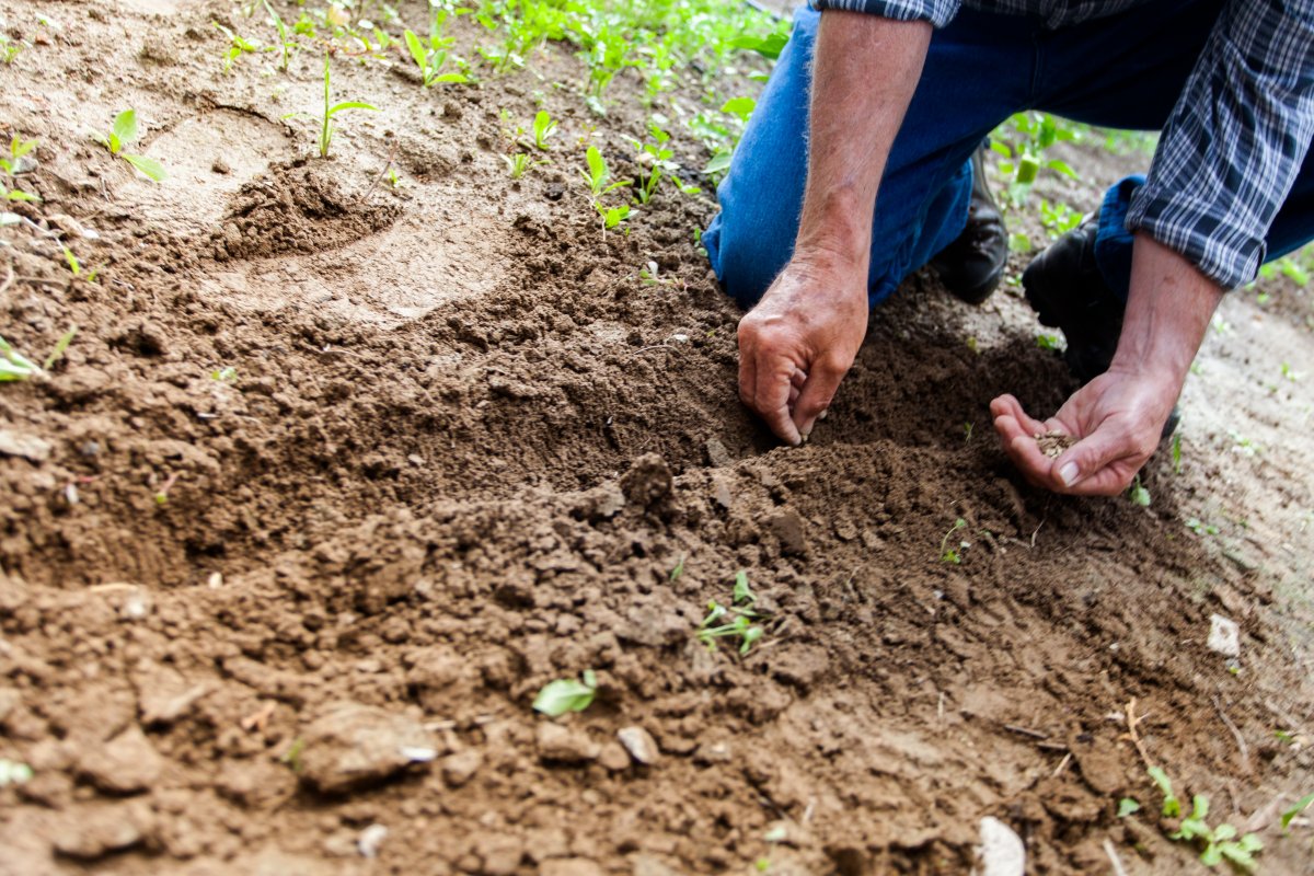 Mapeamento do solo favorece e incentiva atividades do produtor rural