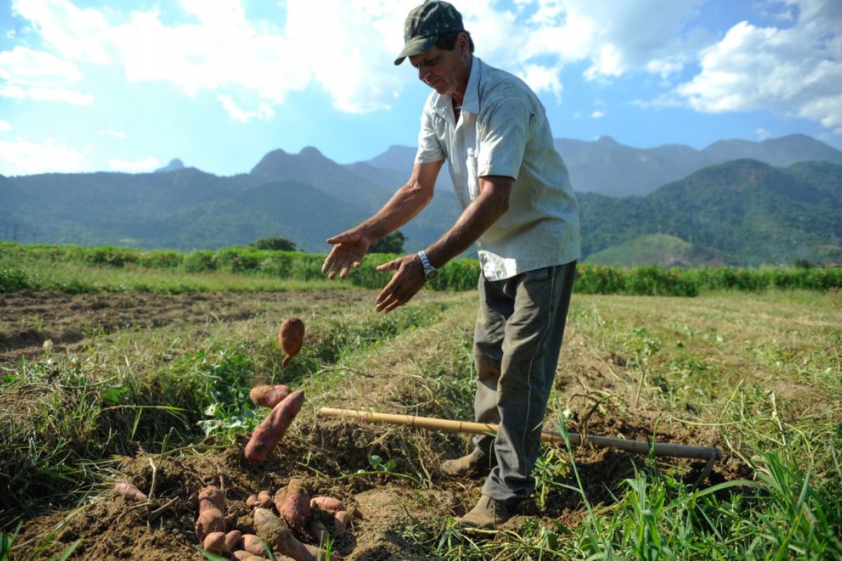 Estiagem no Sul provoca prejuízos no setor agrícola 
