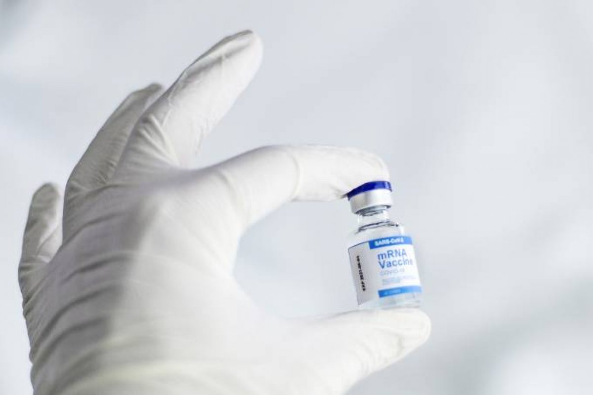 Harvard aponta que Pfizer e Janssen  são eficientes contra variante Ômicron do coronavírus