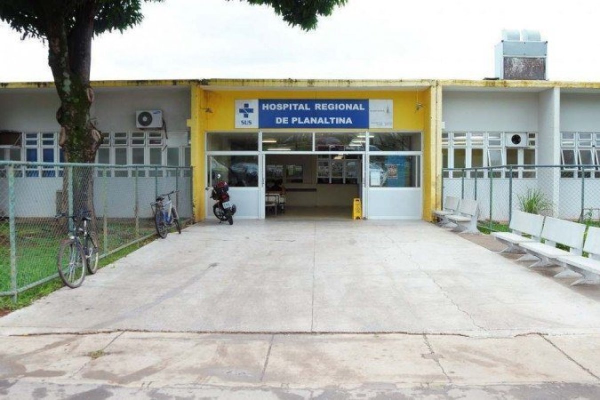 Cachorro morde perna de adolescente e PM mata o animal