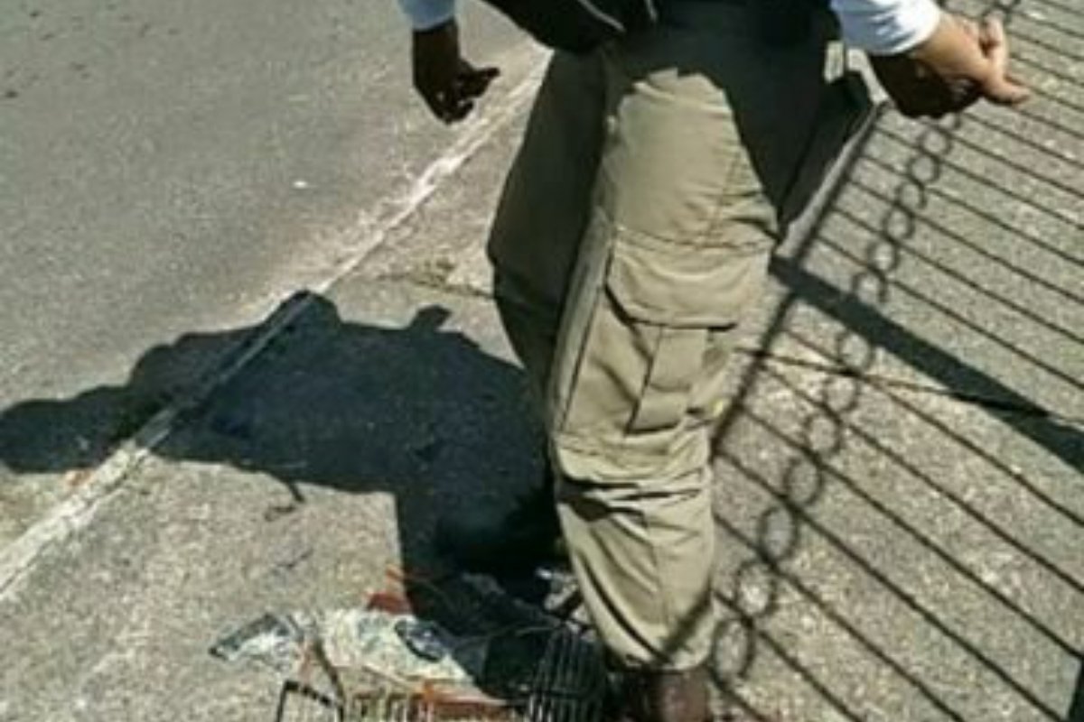Policial é flagrado emagando passarinho dentro de gaiola no Parque São Bartolomeu, em Salvador 