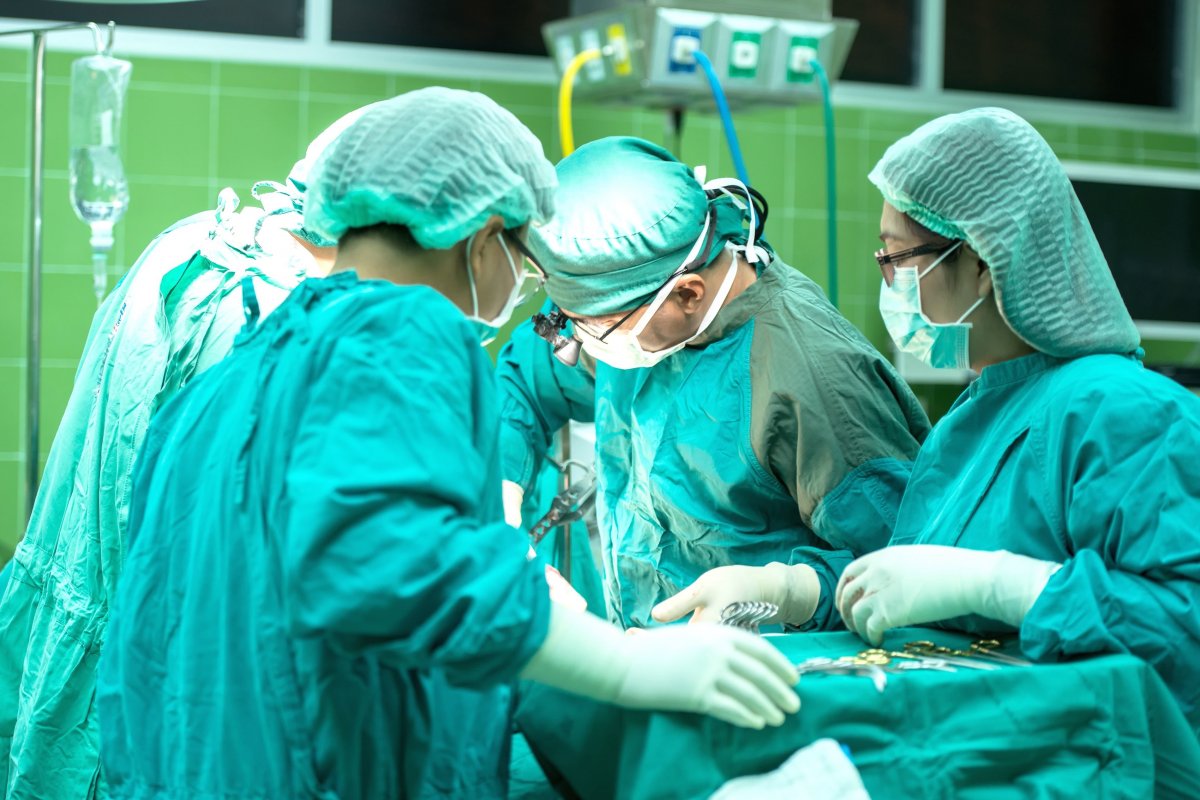 Rins de porco são transplantados em paciente com morte cerebral