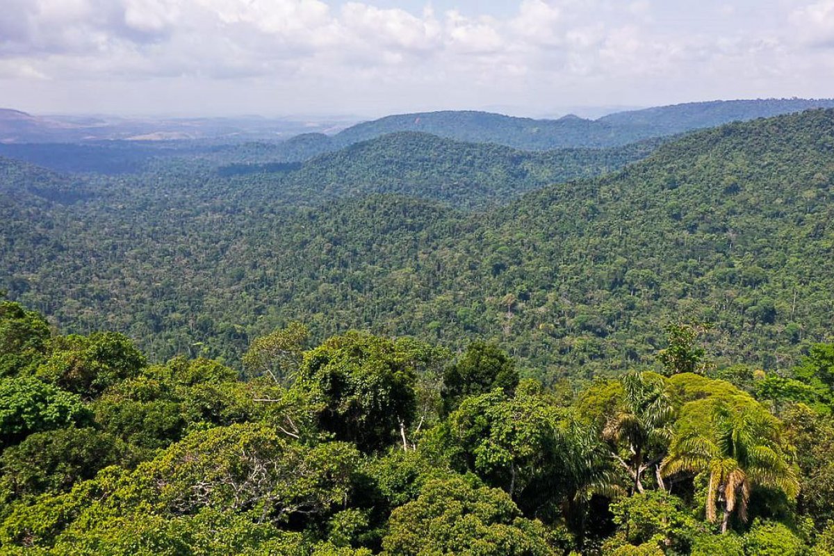 Projeto Calha Norte vai ampliar em 40% número de municípios atendidos, afirma Defesa