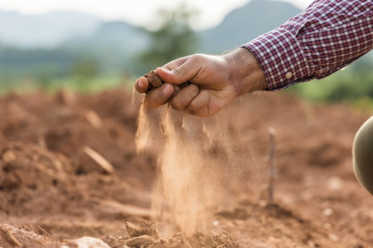 Agricultores receberam R$ 4,1 bilhões em indenizações de seguro rural em 2021, indica Ministério da Agricultura