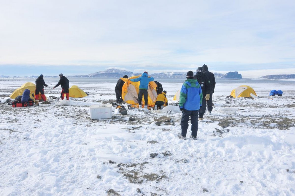 Micróbios da Antártica podem ajudar limpeza de plásticos