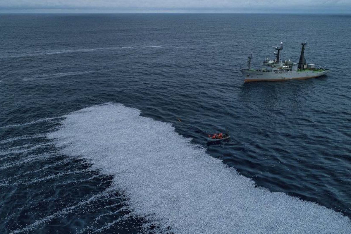 Segundo maior barco de pesca do mundo derrama peixes mortos na costa da França