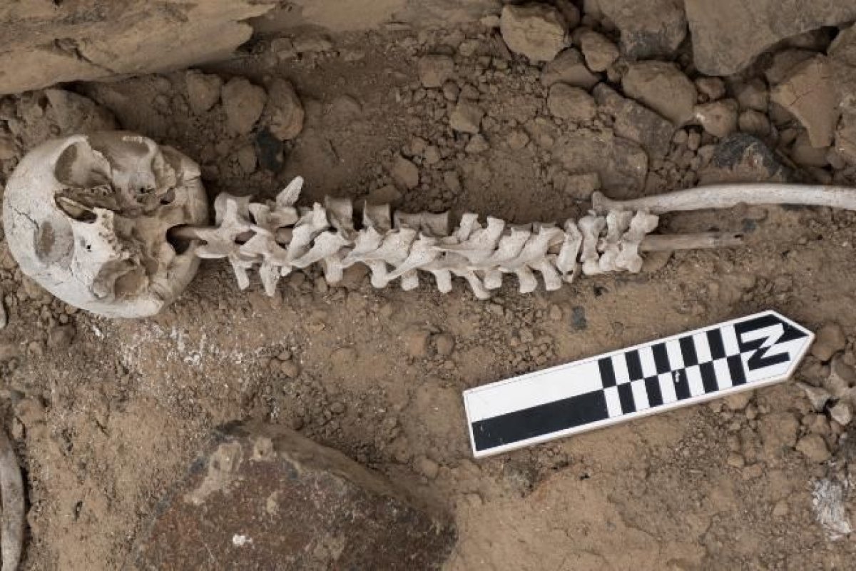 Vértebras humanas são encontradas em varas de junco no Peru