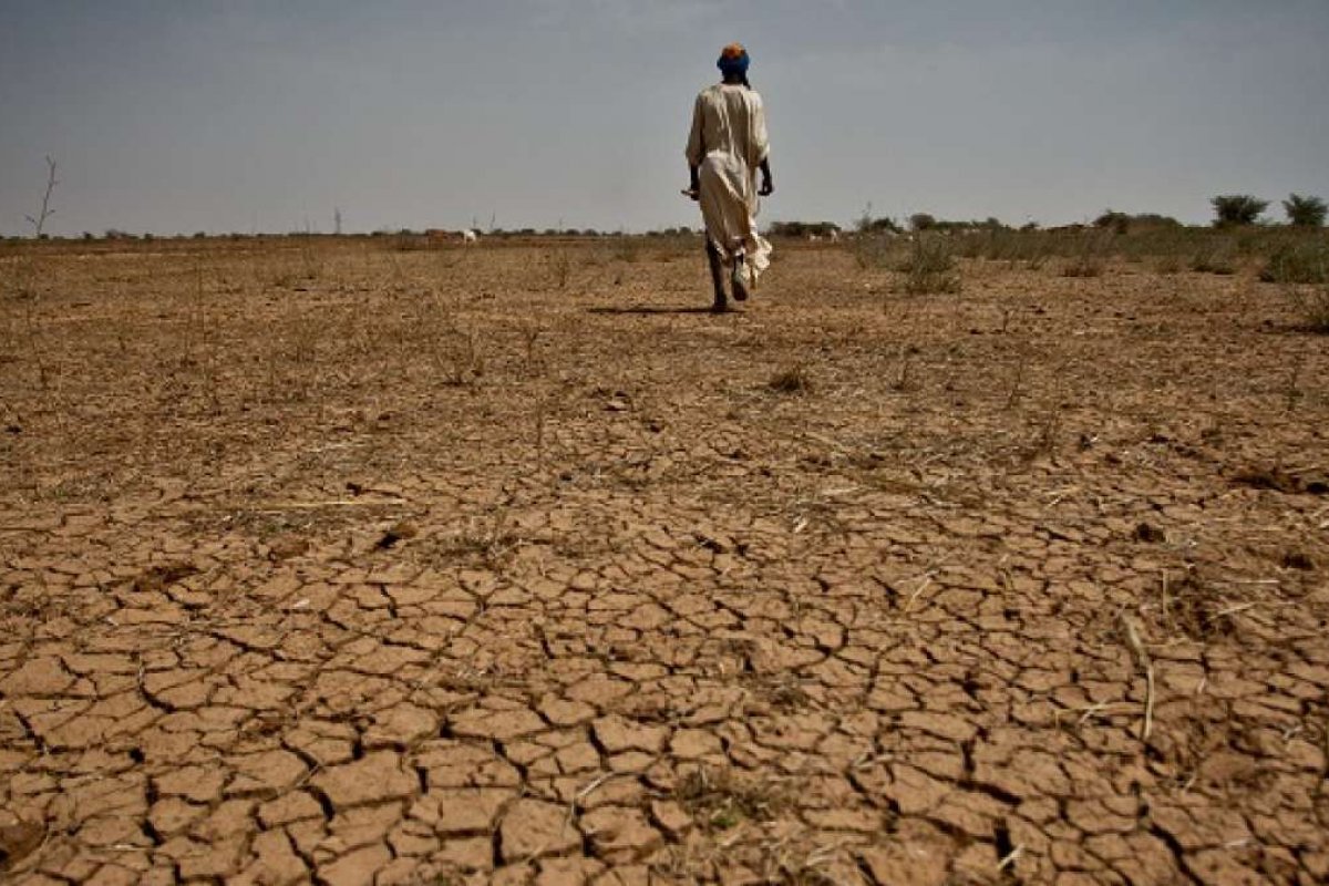 Treze milhões de pessoas enfrentam a fome na região do Chifre da África por causa da seca