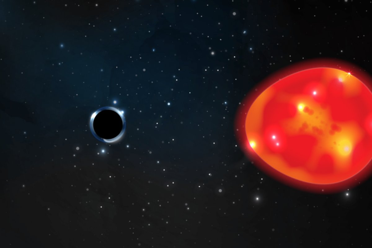 Cientistas da Nova Zelândia descobrem primeiro buraco negro ‘isolado’