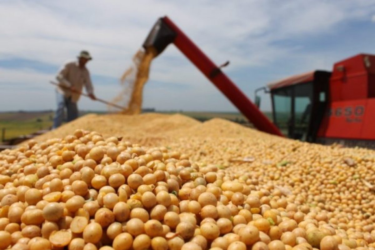 Mesmo com queda na soja, previsão da produção baiana de grãos é superior ao recorde de 2021