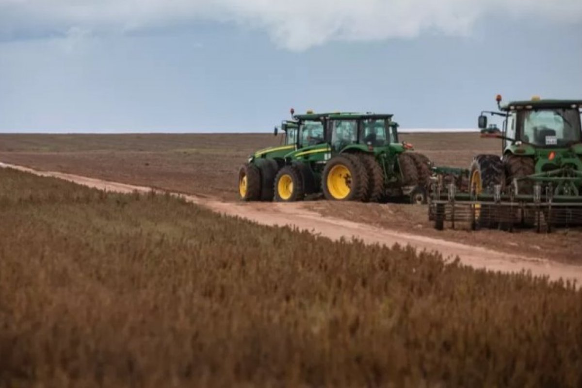 BNDES fornece mais de R$ 25 milhões para fazendeiros que desmatam Amazônia, afirma site
