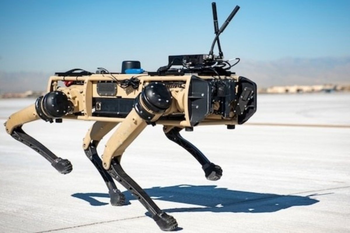 Estados Unidos testam cães robôs para patrulhar fronteira com o México