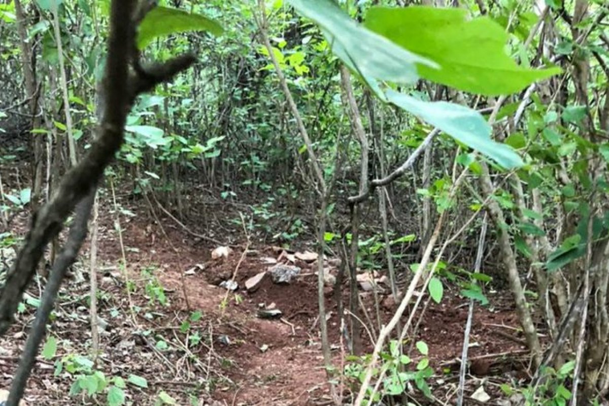 Casal sai para passear a cavalo e é encontrado morto em mata