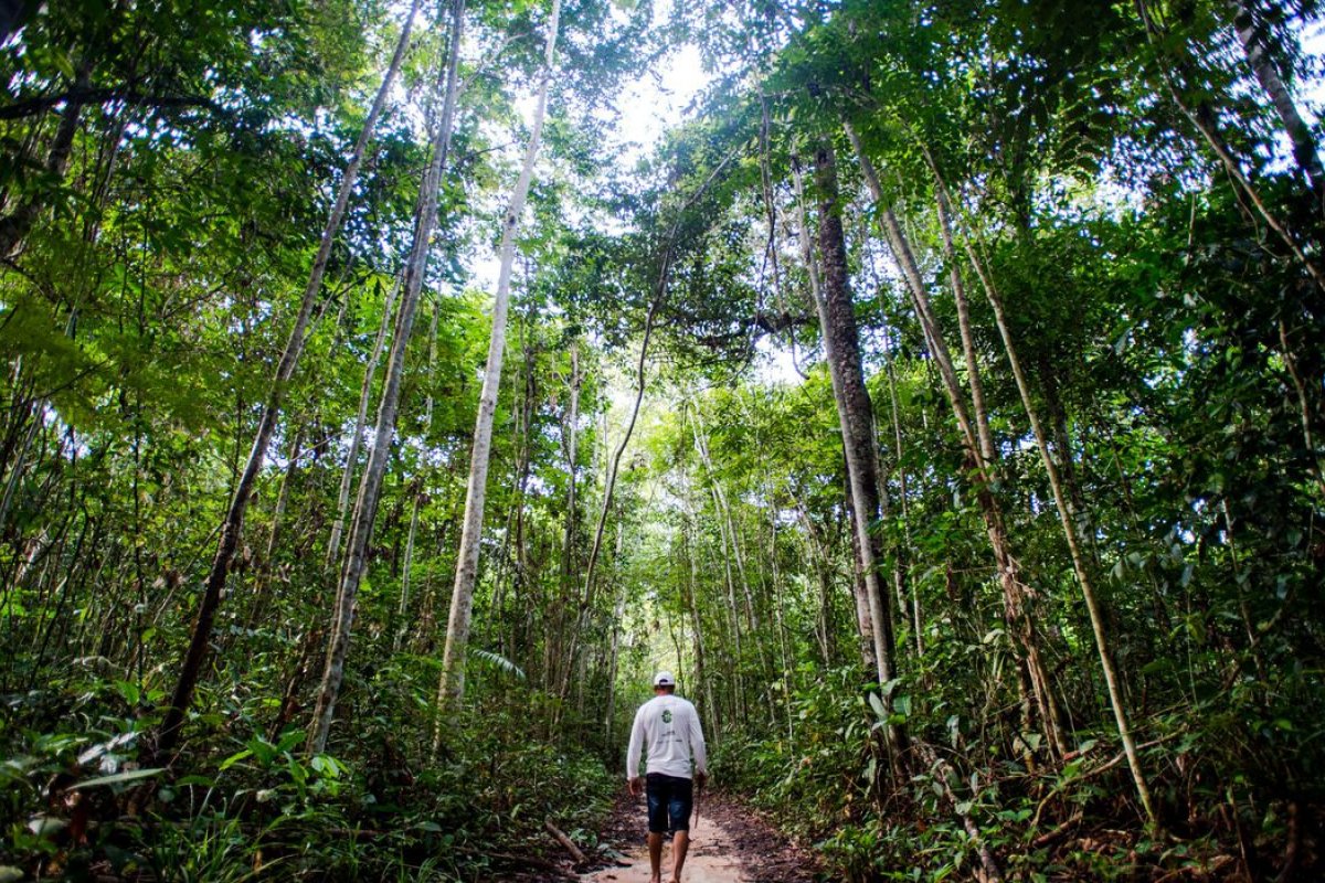 Ibama: combate ao desmatamento e incêndio na Amazônia serão prioridades em 2022