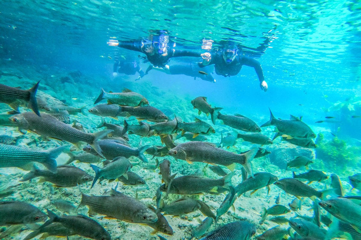 Nascente Azul: uma imersão na natureza para toda a família 