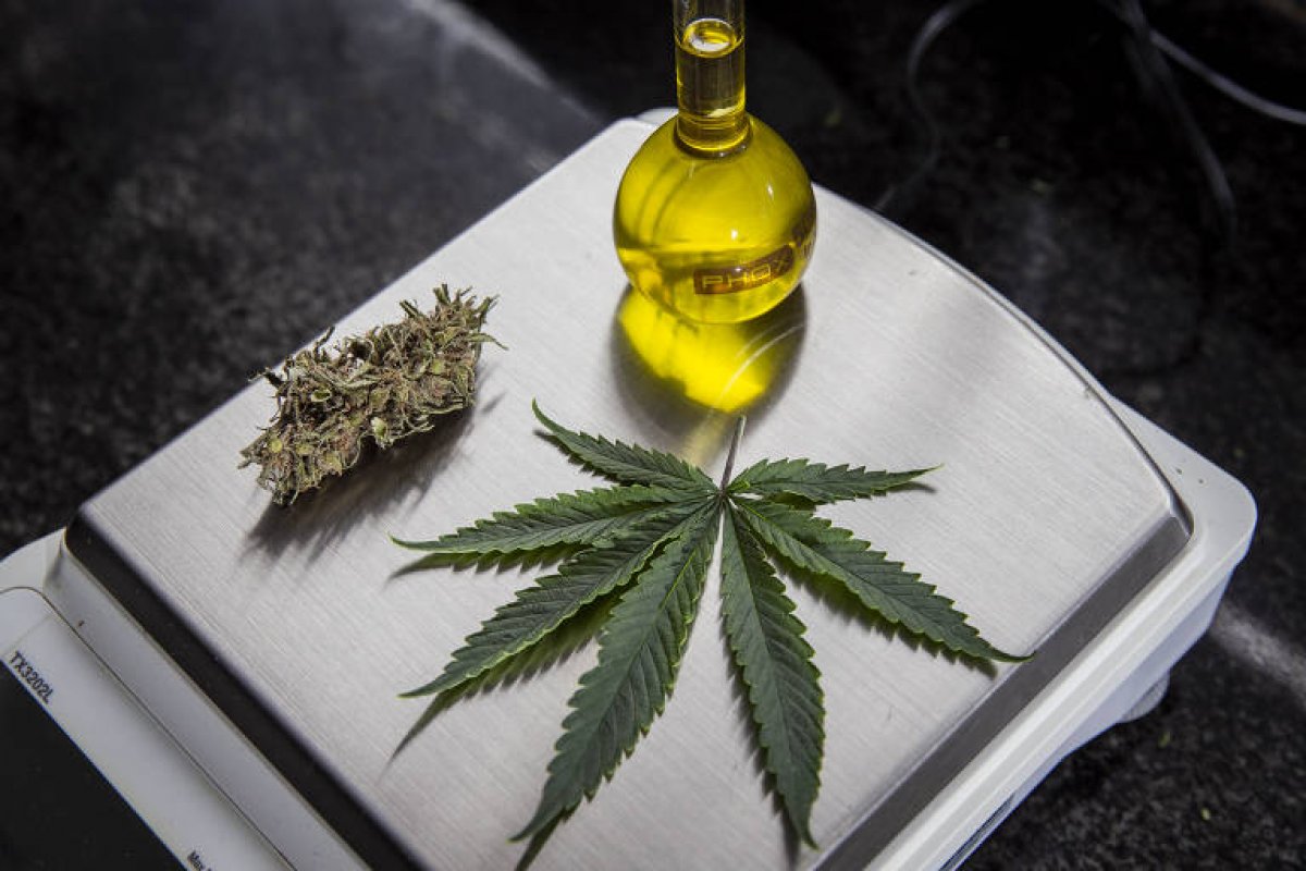 Pesquisadores avaliam eficácia do canabidiol, composto da maconha, em pelo menos vinte doenças