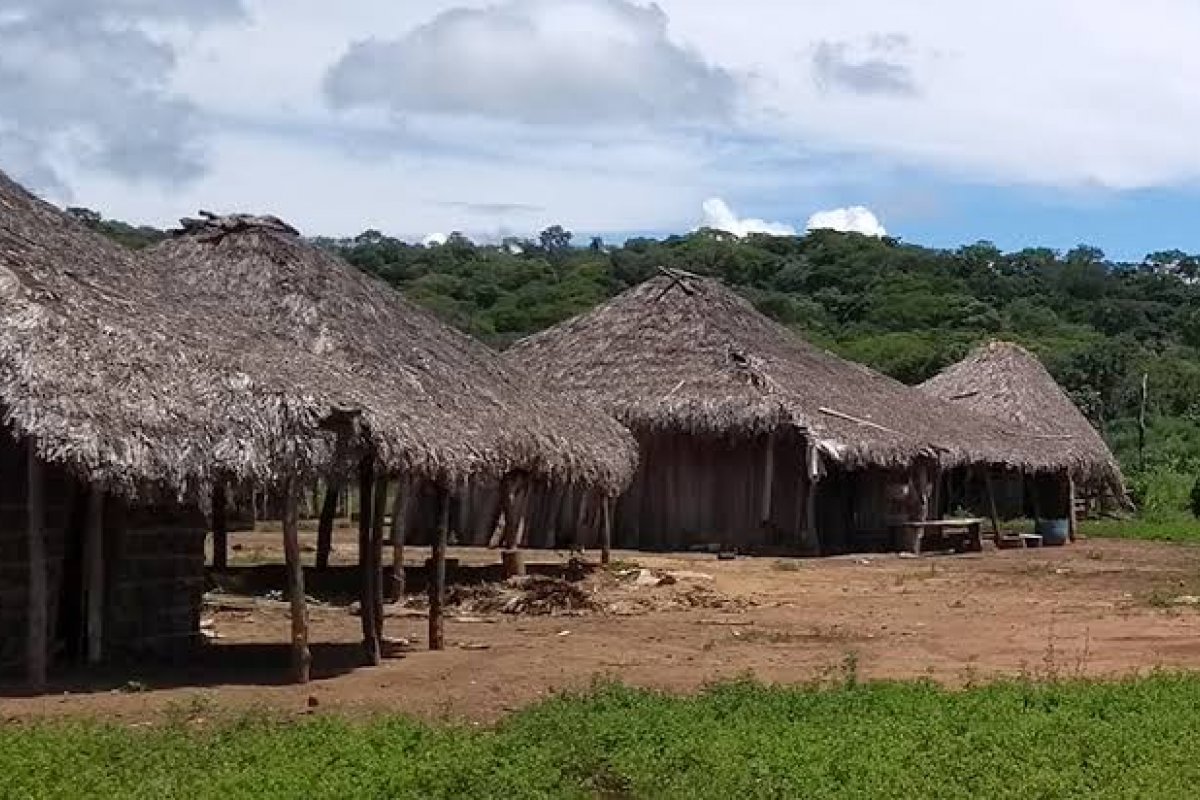 Vídeo: empresa descumpre Inema e  desmata quilombo da Cambuta 