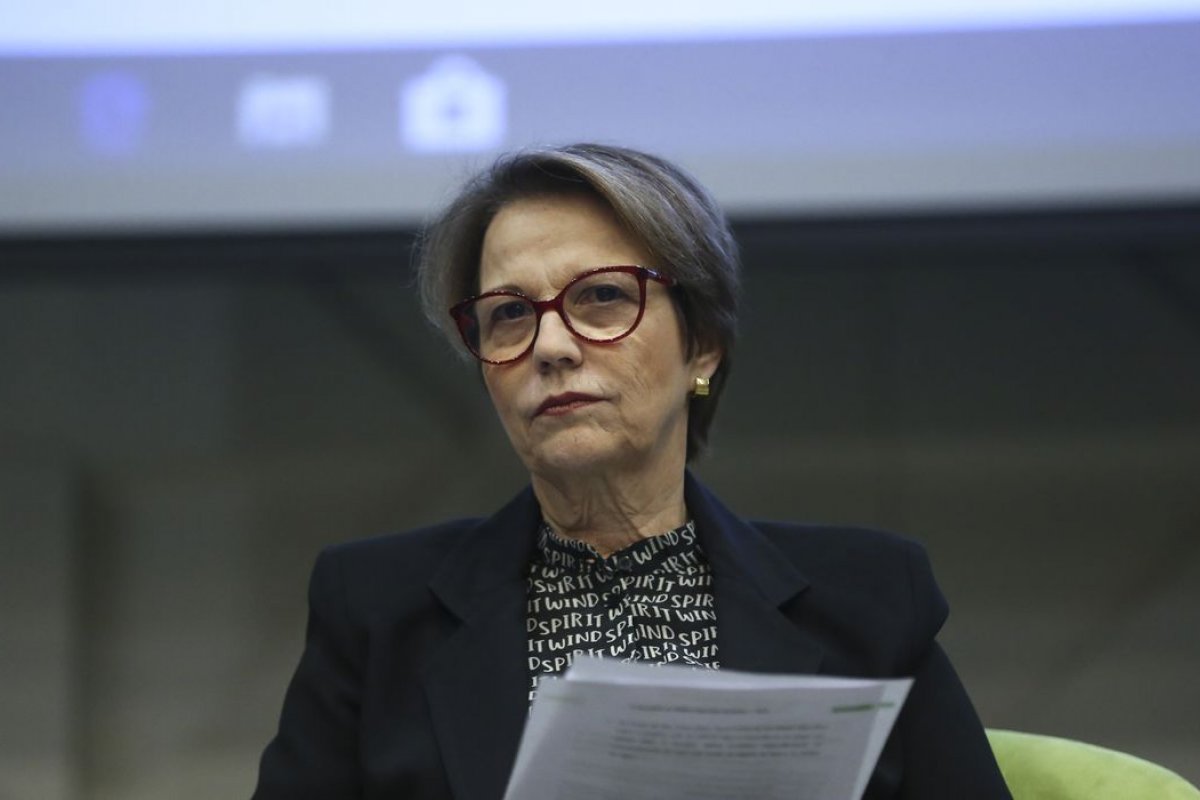 Ministra da Agricultura sobre guerra entre Rússia e Ucrânia: 'Preços de alimentos terão alta'