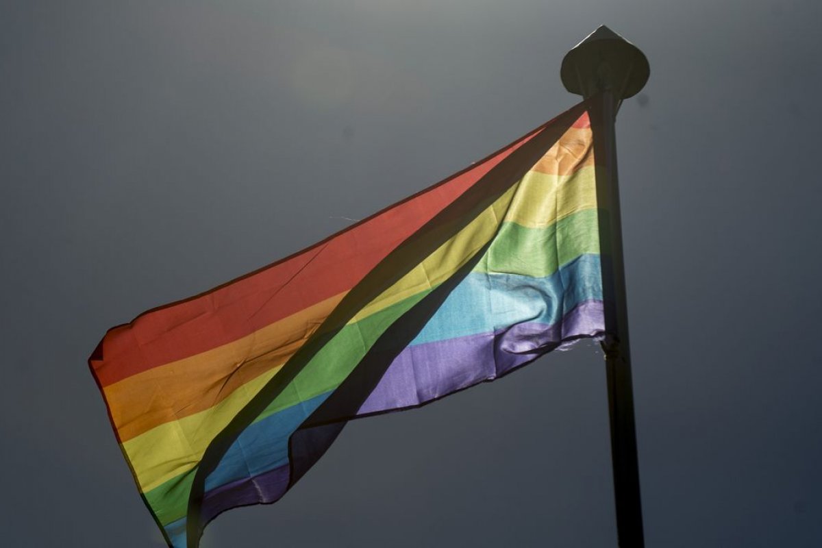Estudo relata que cientistas LGBTQIA+ assumidos produzem mais artigos do que os que estão 'dentro do armário'