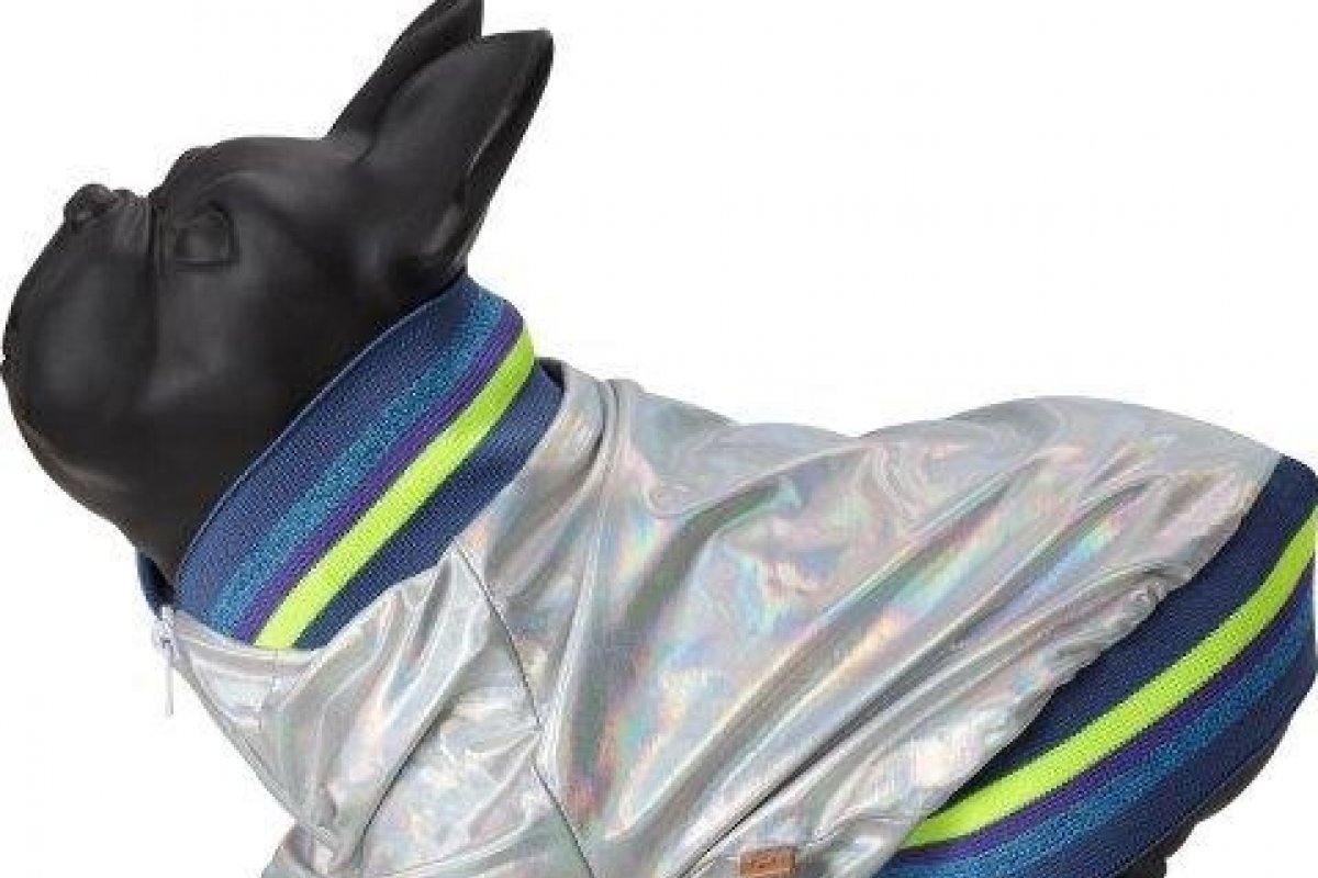 PET Jr. lança coleção Tal pais, Tal pet  com Jaqueta Holográfica ! 