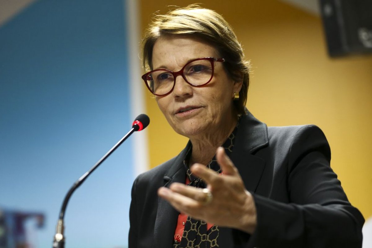Tereza Cristina pede que fertilizantes não sejam incluídos em sanções à Rússia