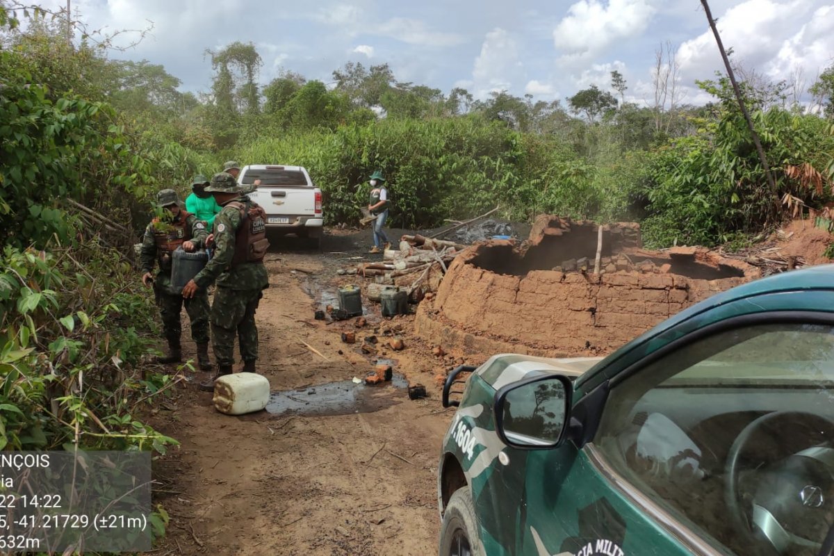 Companhia Ambiental da PM destrói fornos e apreende carvão em Lençóis, interior da Bahia