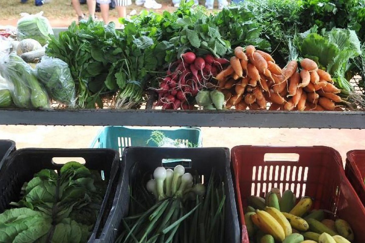 Inflação 2022: Frutas, verduras e legumes assumem o posto de vilões