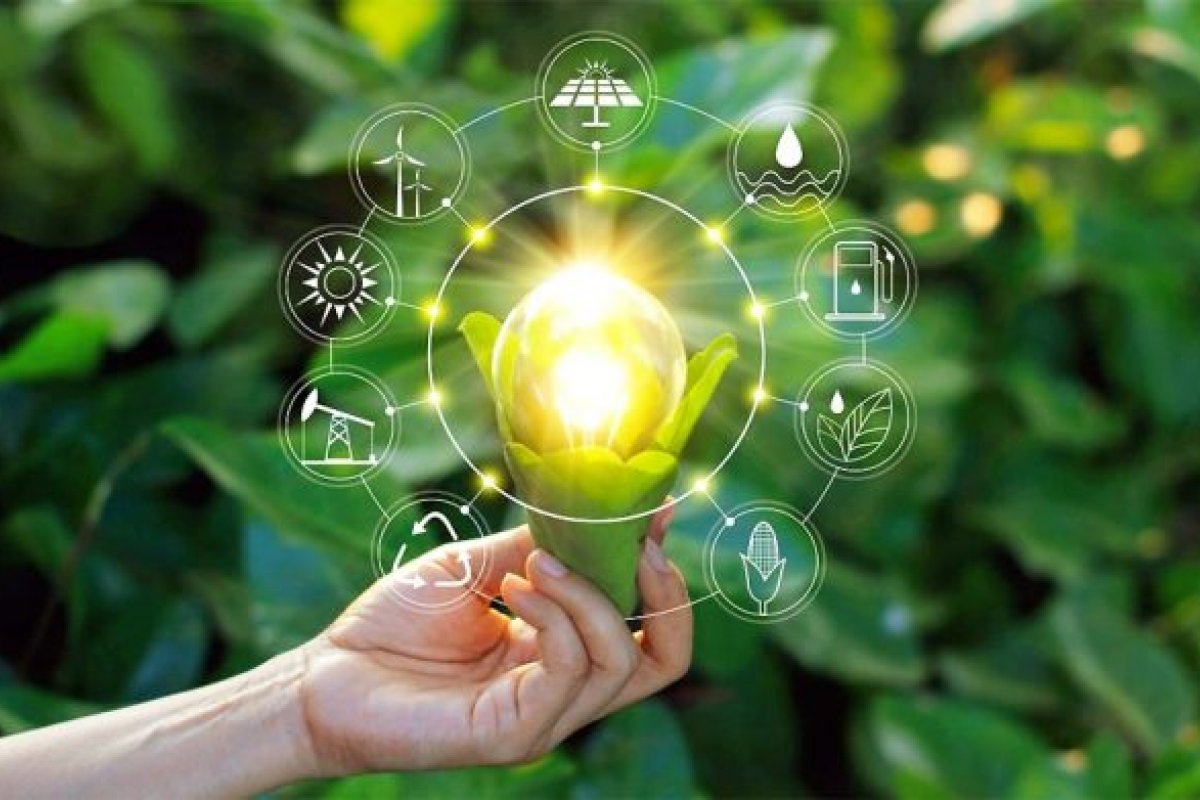 Vagas abertas para o curso on-line gratuito sobre economia circular  