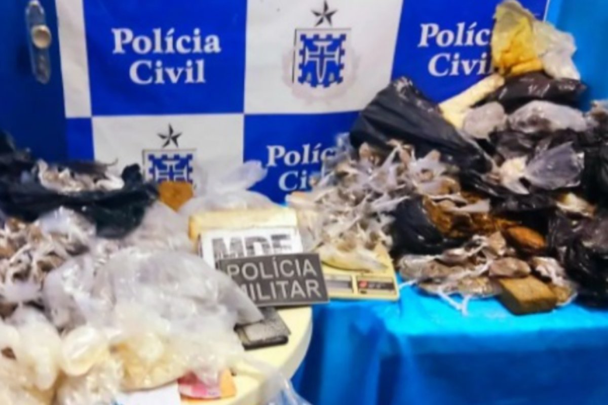 PM apreende 6,6 mil porções de entorpecentes em Nazaré, no interior da Bahia