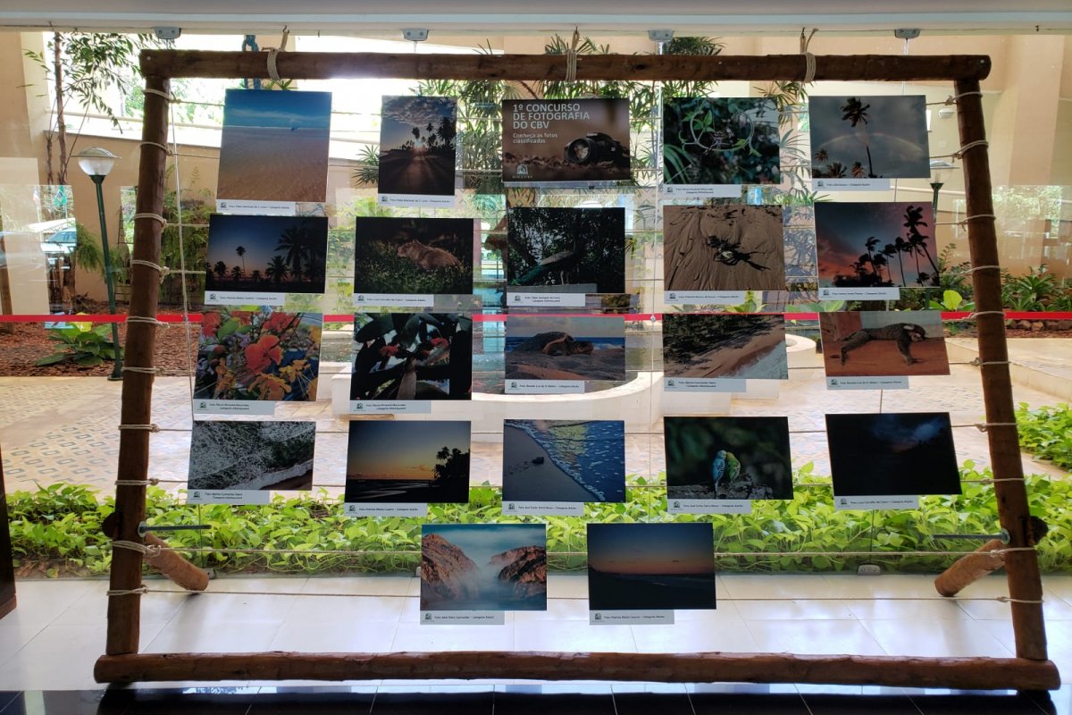 Fotografias com as belezas naturais de Busca Vida ficam em exposição aberta ao público até sábado, 02 de abril  
