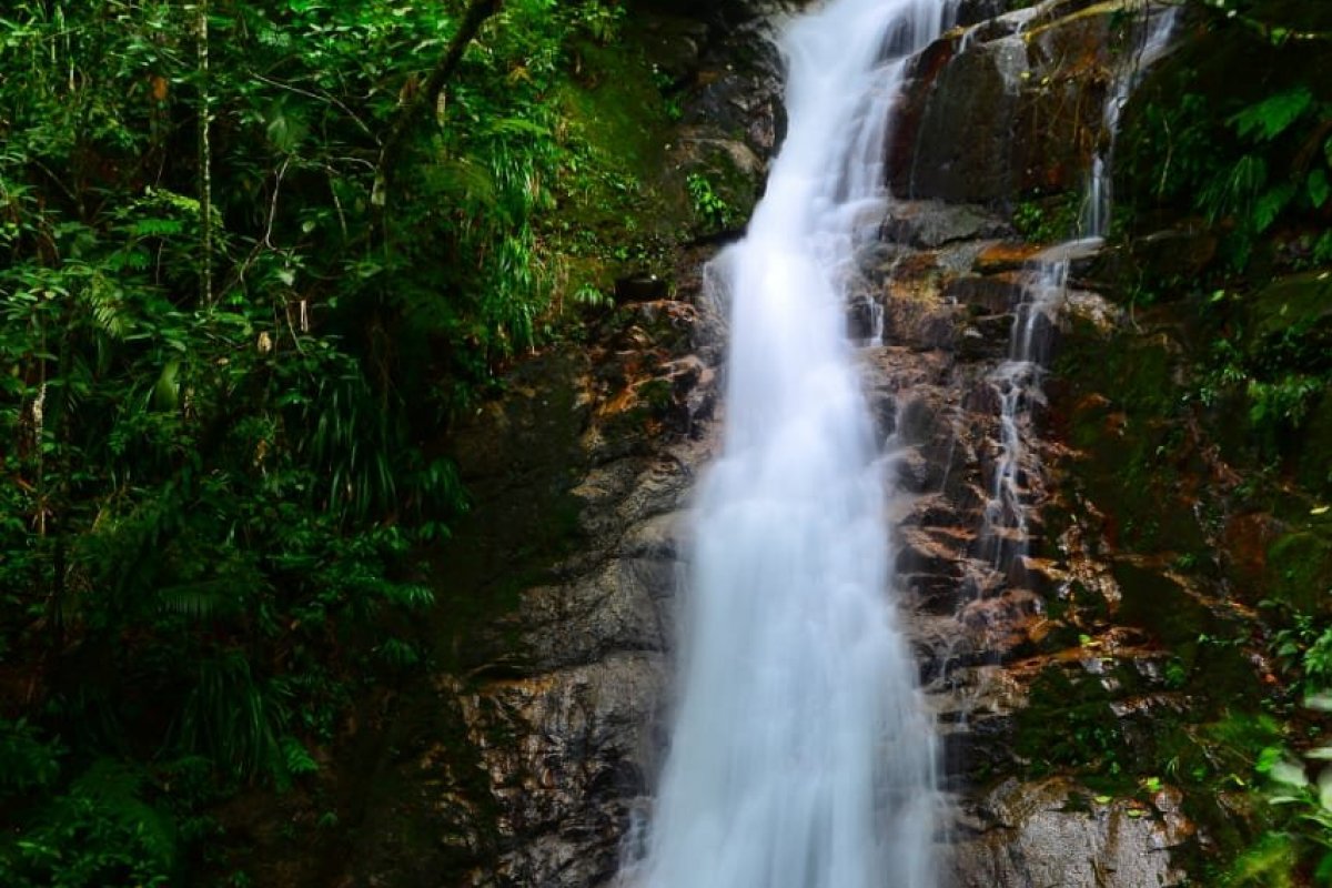 Ecoturismo no Litoral Norte de São Paulo: descubra atrações para aproveitar o outono na região  