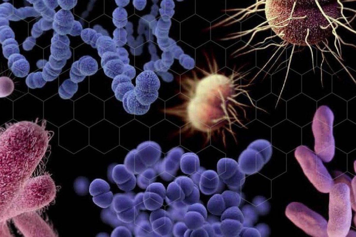 Nova pandemia pode ser causada por superbactérias em águas sem tratamento, alerta ONU 