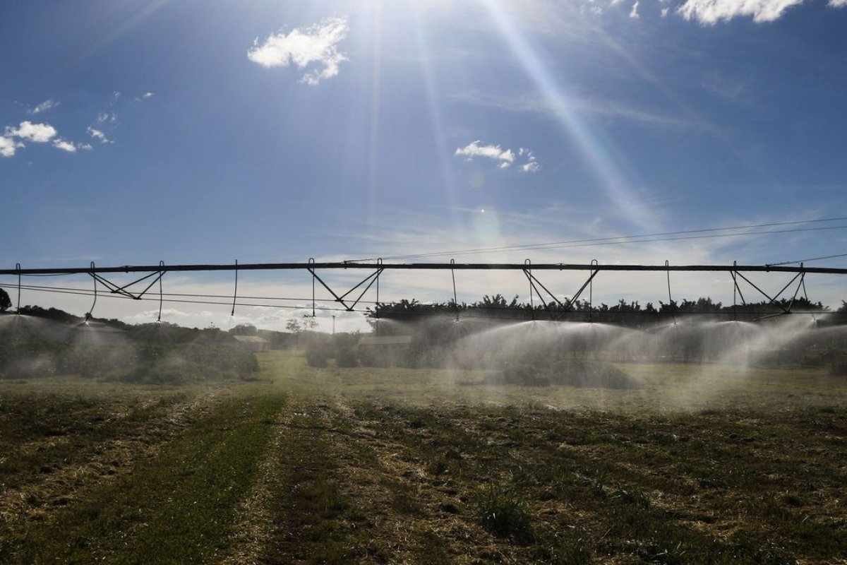 Valor bruto da Produção Agropecuária deve atingir R$1,227 trilhão este ano