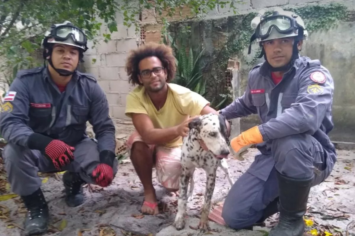 Cachorro cego é resgatado após fugir da chuva e ficar preso entre paredes no Sul da Bahia