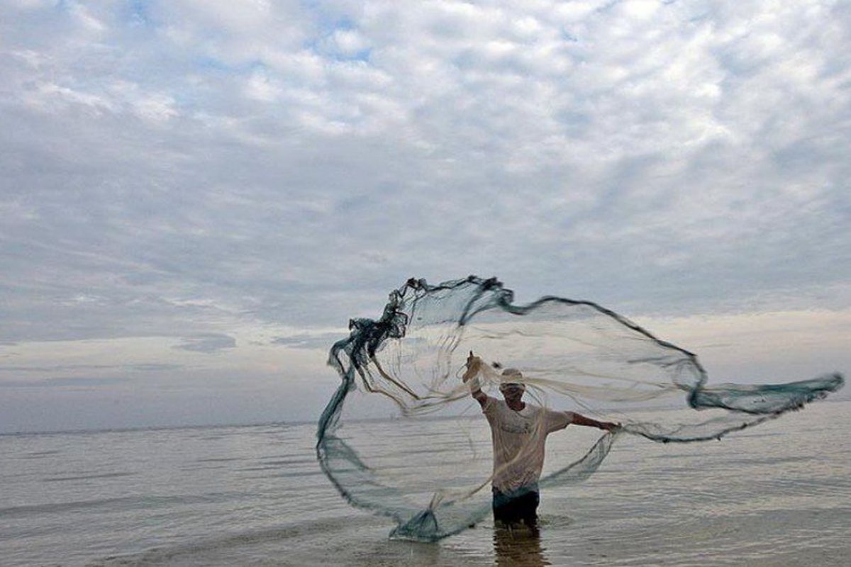 Bahia Pesca inicia coleta de peixes e mariscos para identificar possível contaminação