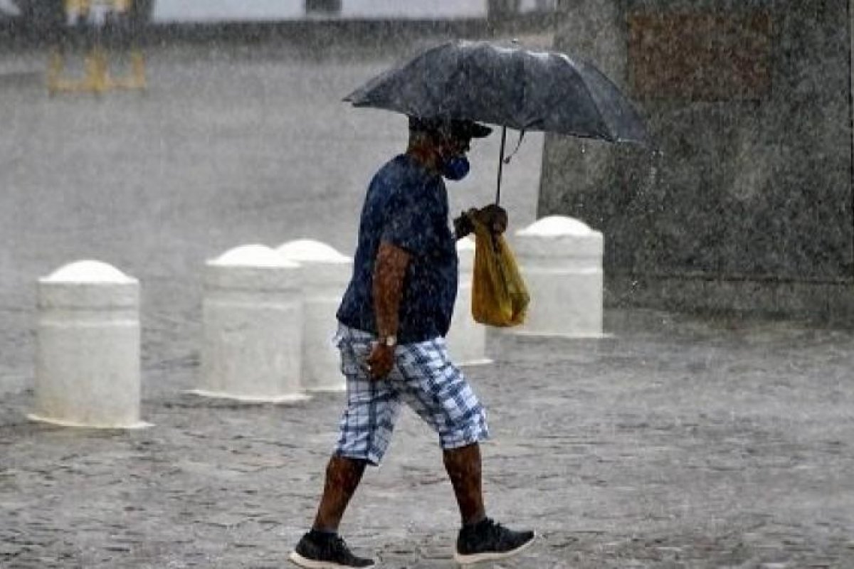 Queda de árvores, cratera em vias e alagamentos marcam quarta-feira de chuva em Salvador