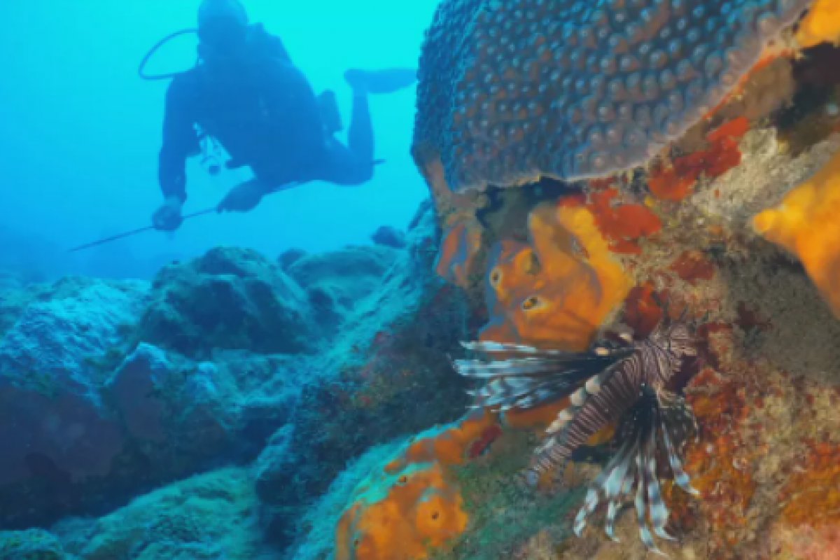 Pescador sofre paradas cardíacas após pisar em peixe-leão venenoso no Ceará