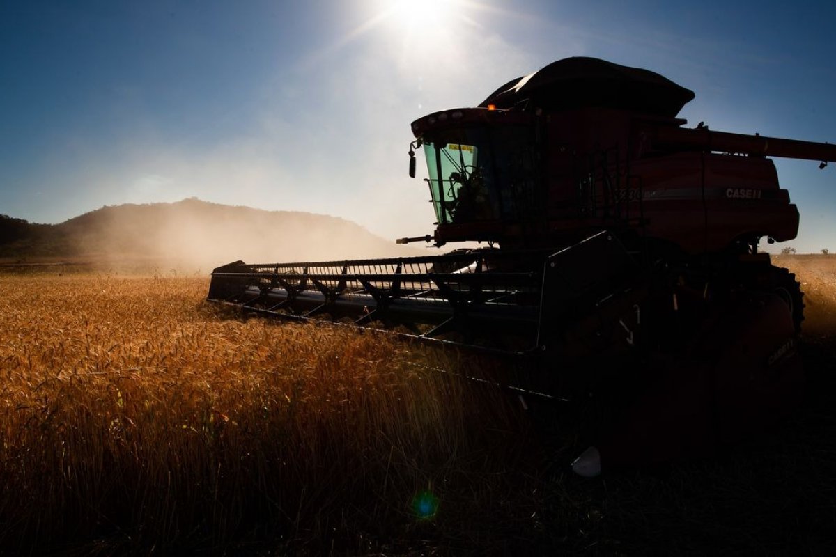 Preço das commodities agrícolas atinge recordes em 2022, aponta Ipea 