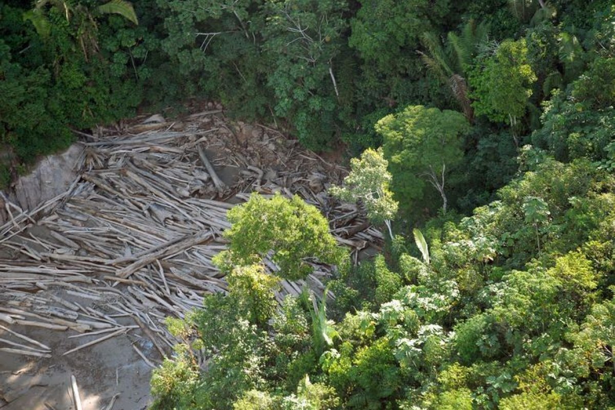 Desmatamento na Amazônia pode gerar prejuízo de US$ 1 bi por ano para agricultura
