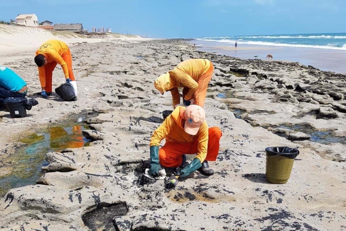 Shoppings recebem doações para limpeza das praias atingidas pelo óleo no Nordeste