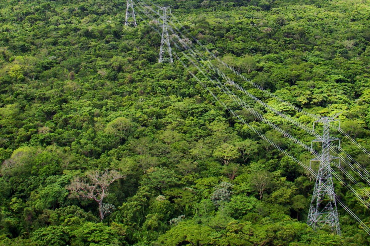 Senado aprova PLP que prevê construção de Linhão de Tucuruí em território indígena