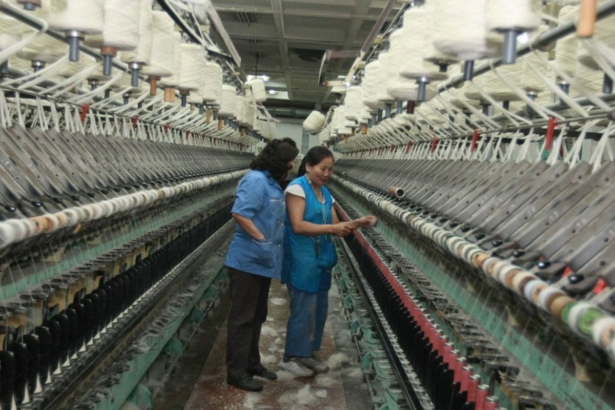 Agência da ONU defende acordos coletivos como essenciais para recuperação do mercado de trabalho 