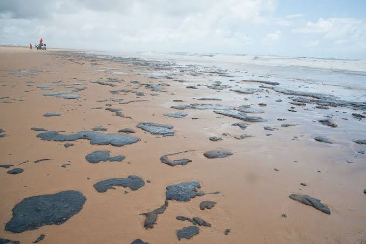 Protocolo internacional para limpeza de óleo nas praias traz alertas para o Nordeste