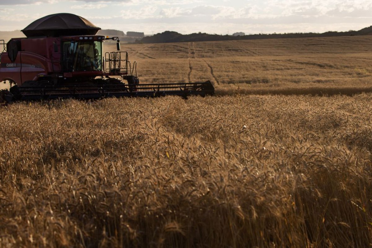 Valor do fertilizante tem recuo de 30% em 45 dias