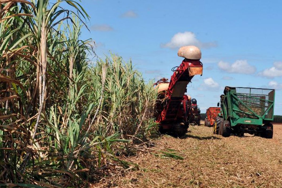 Confiança do agronegócio registra alta de 1,9 ponto no 1º trimestre de 2022