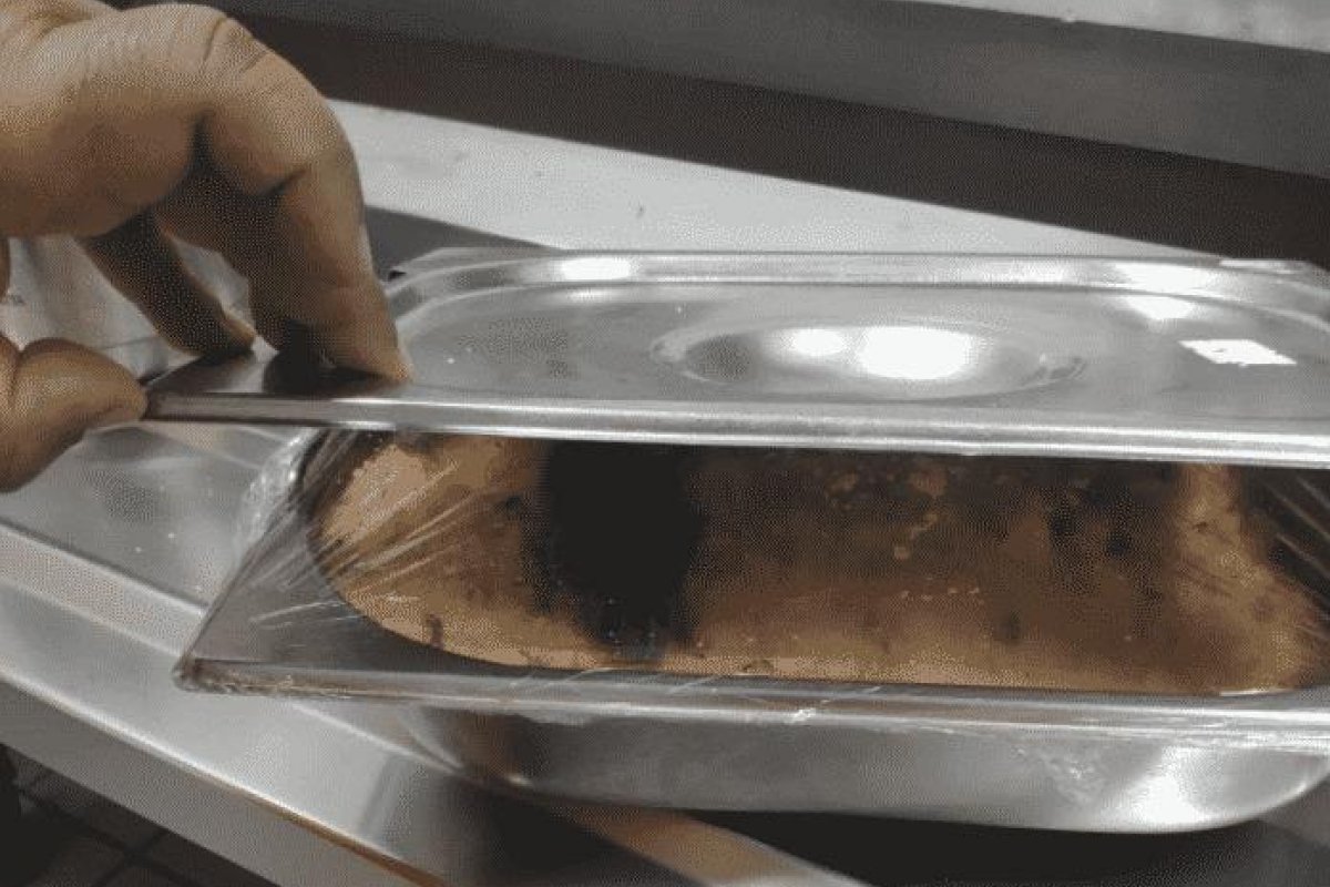 Funcionários de refinaria na Bahia encontram rato vivo em comida no refeitório 